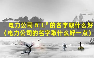 电力公司 🌳 的名字取什么好（电力公司的名字取什么好一点）